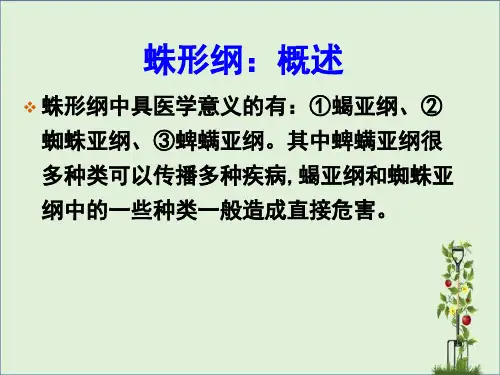 4蜱螨概述-蜱-恙螨-疥螨-蠕形螨总结