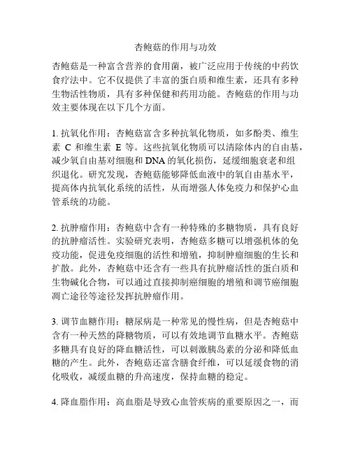 杏鲍菇的作用与功效