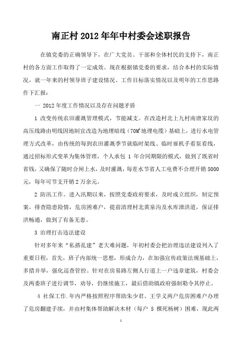 南正村2012年村委会工作汇报