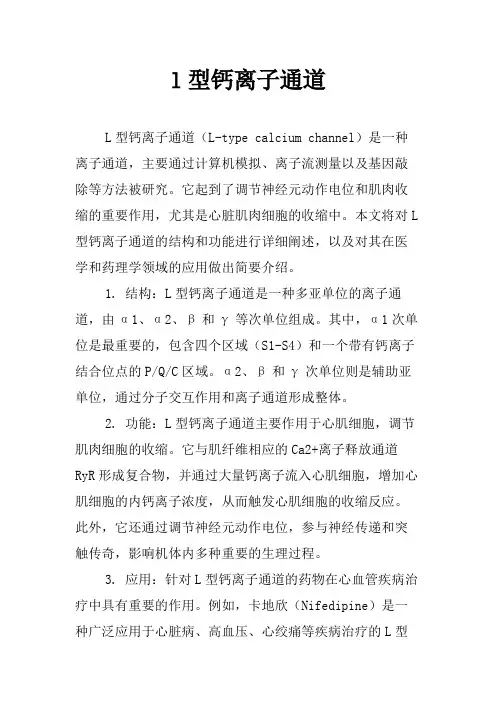 l型钙离子通道