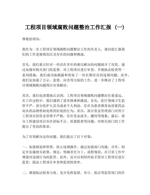 工程项目领域腐败问题整治工作汇报 (一)