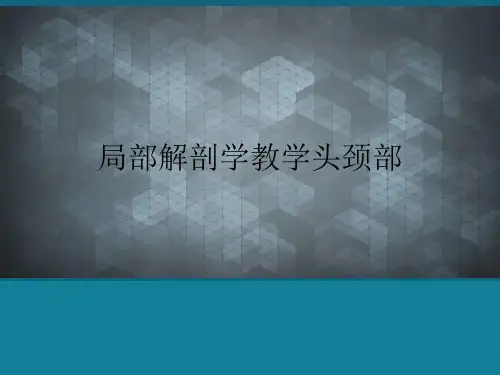 优选局部解剖学教学头颈部