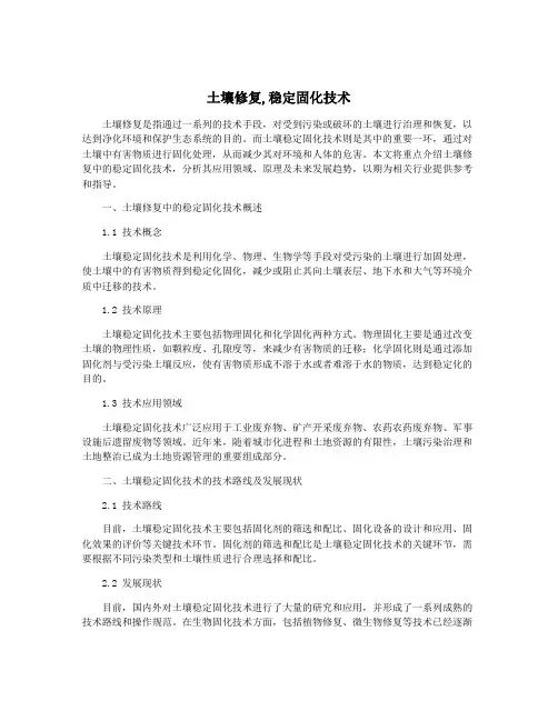 土壤修复,稳定固化技术
