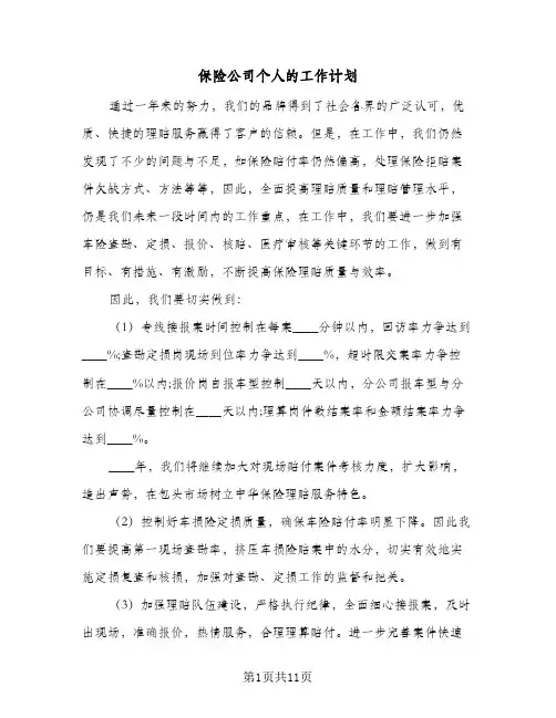 保险公司个人的工作计划(4篇)