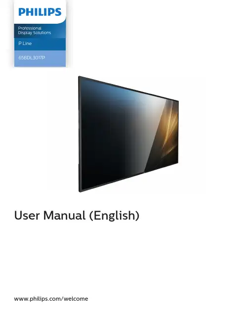 Philips 65BDL3017P 电视机用户手册(英文)说明书