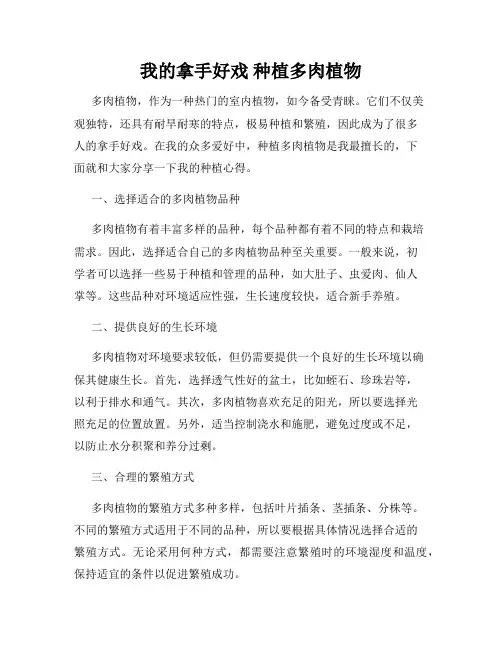我的拿手好戏 种植多肉植物