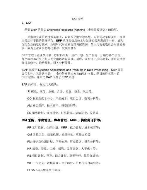 sap介绍
