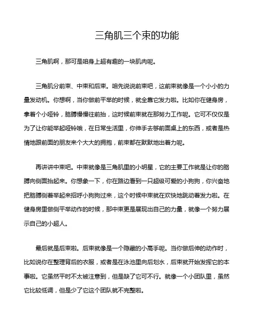 三角肌三个束的功能