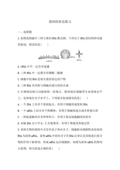 高中生物一轮复习同步练习：基因的表达