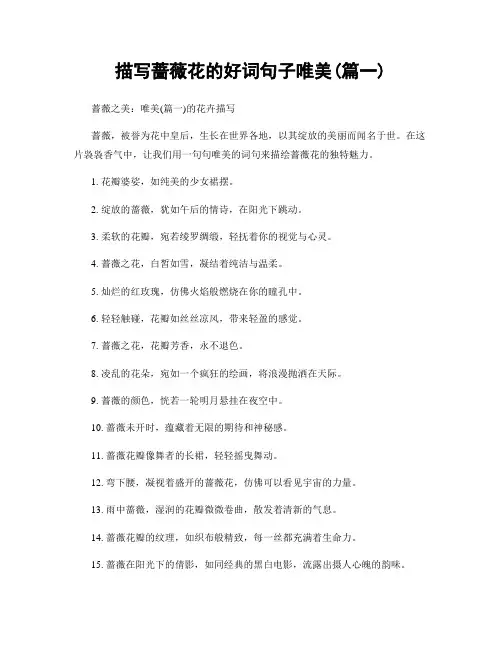描写蔷薇花的好词句子唯美(精选2篇)