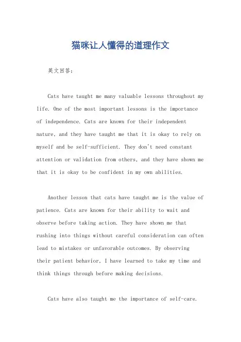 猫咪让人懂得的道理作文