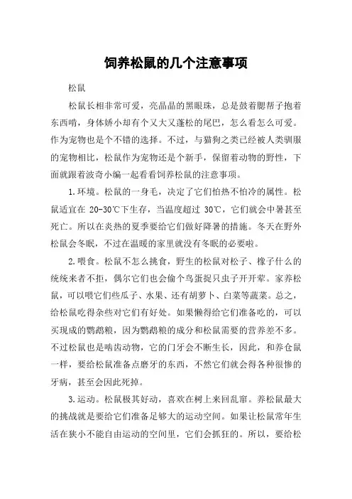 饲养松鼠的几个注意事项