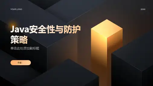 Java安全性和防护策略