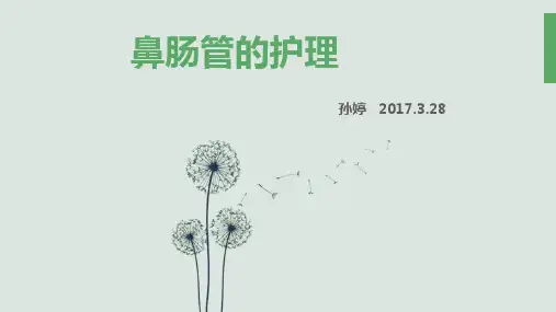 鼻肠管的护理