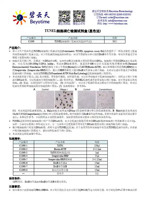 TUNEL细胞凋亡检测试剂盒(显色法)说明书