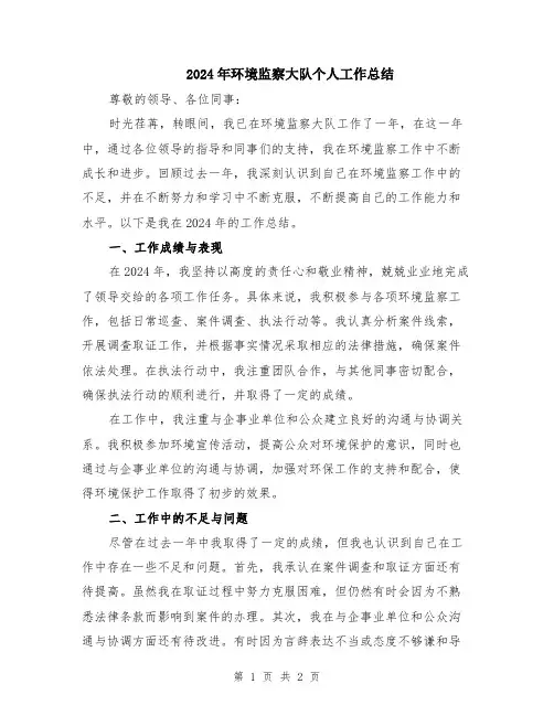 2024年环境监察大队个人工作总结