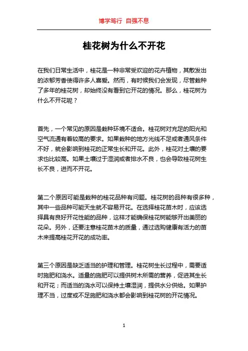 桂花树为什么不开花