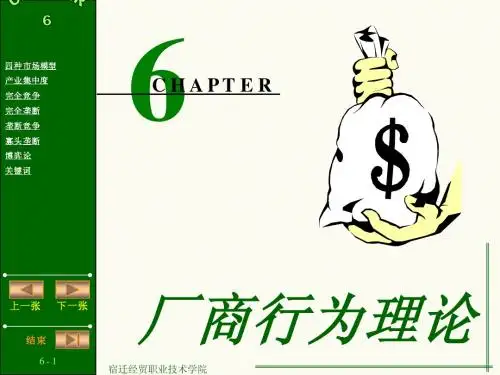 第6章厂商行为理论