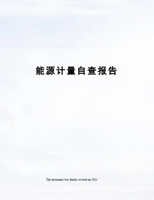 能源计量自查报告
