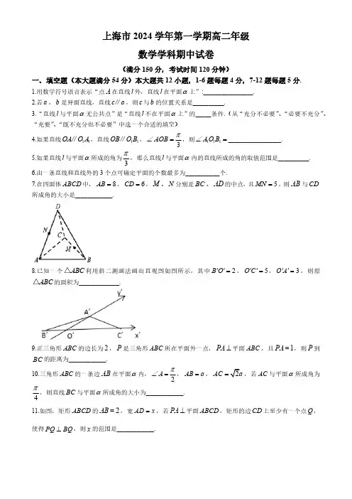 上海市2024-2025学年高二上学期期中考试数学试卷(无答案)