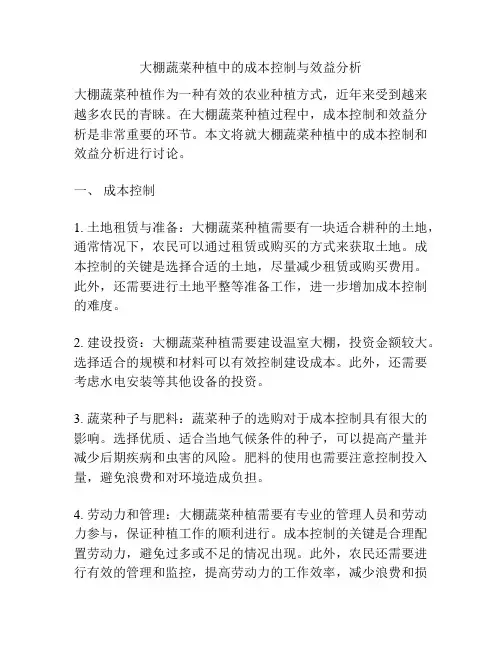 大棚蔬菜种植中的成本控制与效益分析
