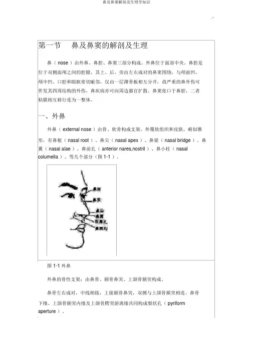 鼻及鼻窦解剖及生理学知识
