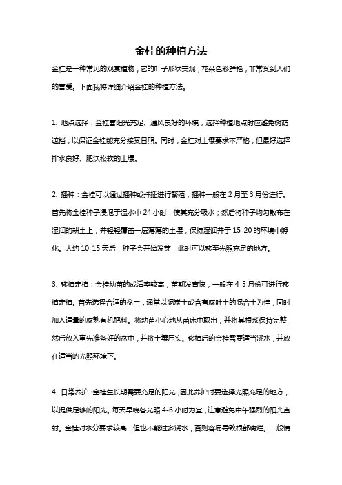 金桂的种植方法