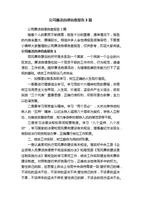 公司廉洁自律自查报告3篇