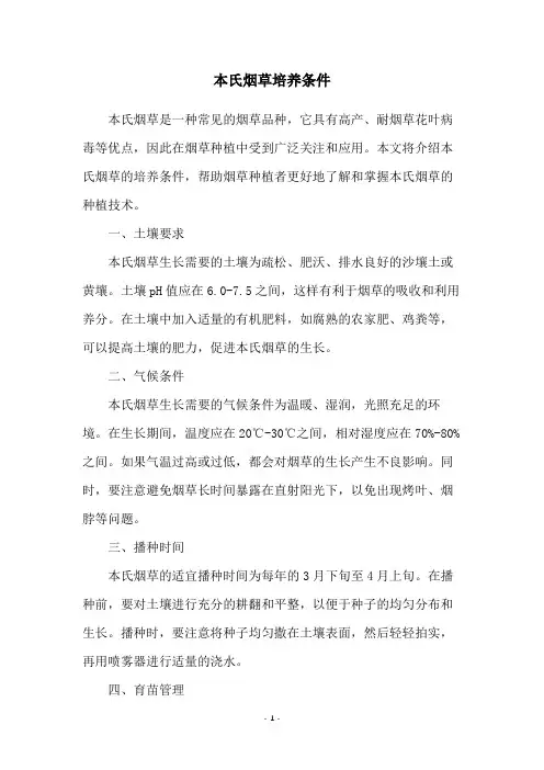 本氏烟草培养条件