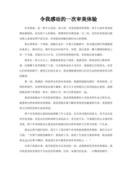 令我感动的一次审美体验