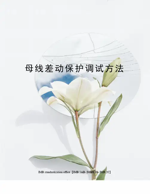 母线差动保护调试方法