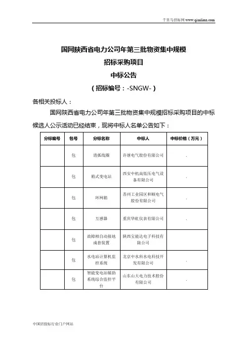 物资集中规模招标采购项目招投标书范本
