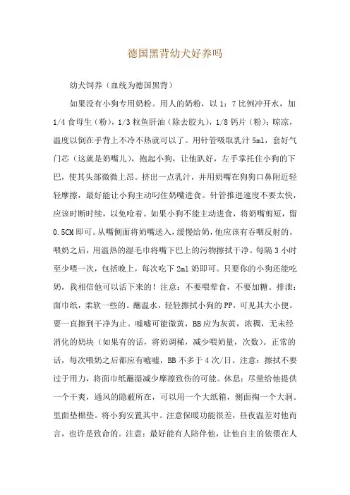 德国黑背幼犬好养吗