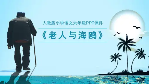 老人与海鸥语文PPT课件