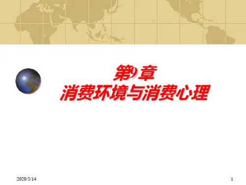 第九章-消费环境与消费心理