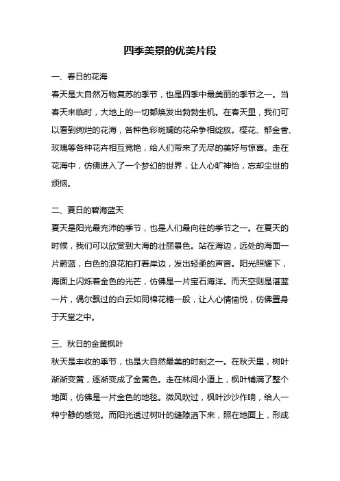 四季美景的优美片段