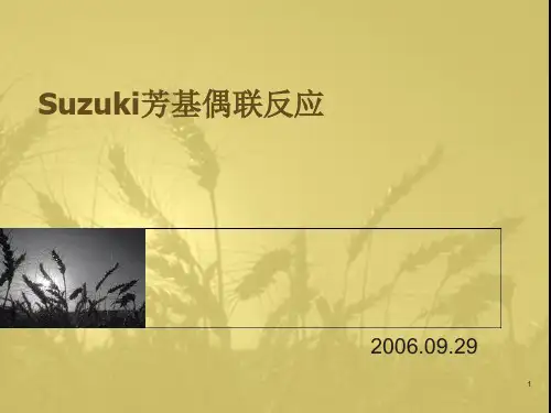 Suzuki芳基偶联反应PPT演示文稿