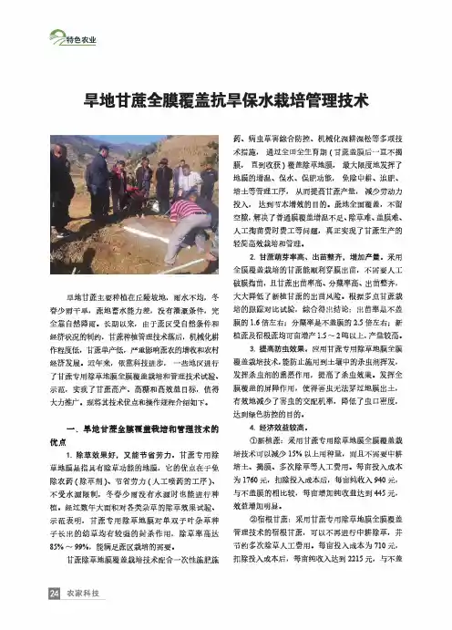 旱地甘蔗全膜覆盖抗旱保水栽培管理技术