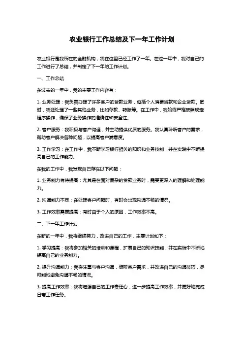 农业银行工作总结及下一年工作计划