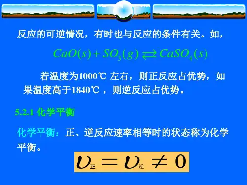 第五章化学平衡ppt课件