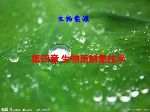 生物质制氢技术