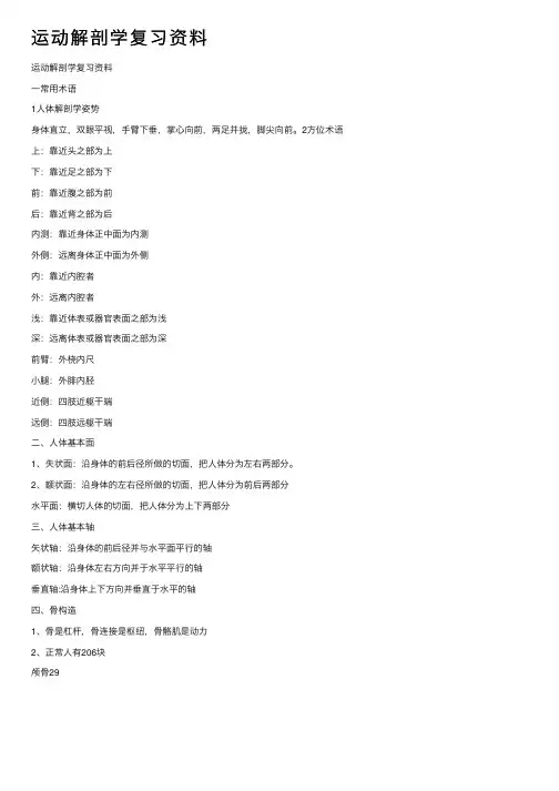 运动解剖学复习资料