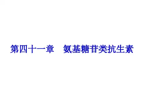 药理学--氨基糖苷类抗生素ppt课件