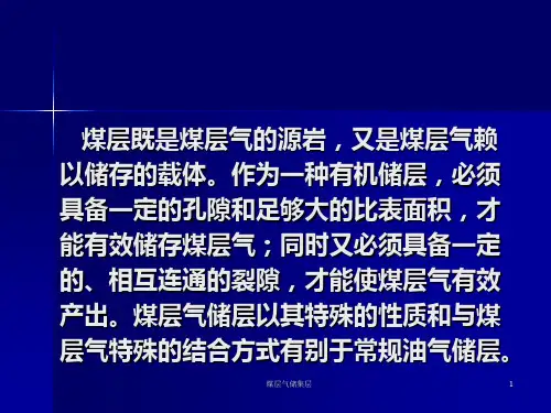 煤层气储集层课件