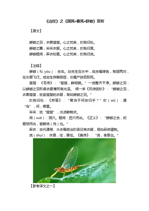《诗经》之《国风·曹风·蜉蝣》赏析