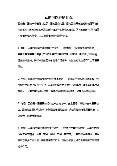 云南可以种植什么