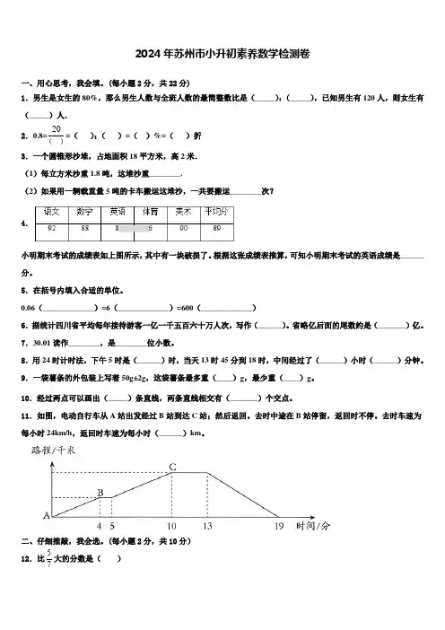2024年苏州市小升初素养数学检测卷含解析