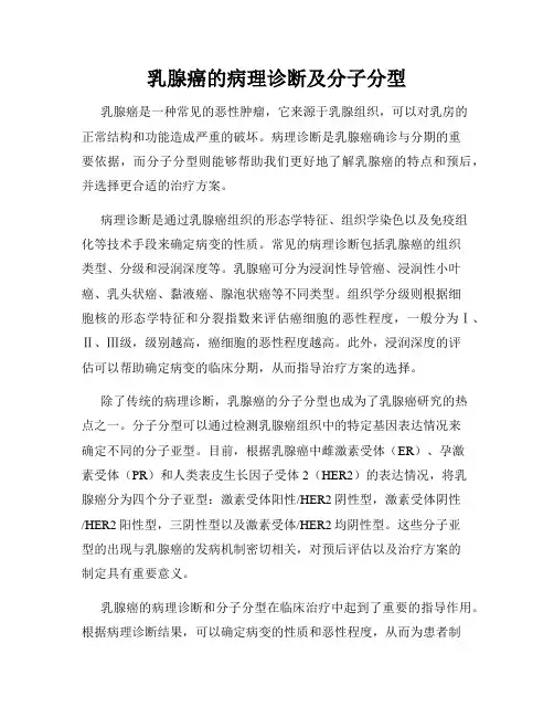 乳腺癌的病理诊断及分子分型