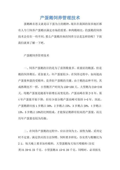 产蛋鹅饲养管理技术