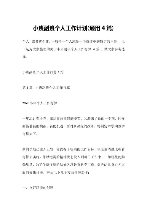 小班副班个人工作计划(通用4篇)_1